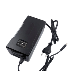 29.2V 5A 8S Lithium Battery Charger -  for LifePO4 battery pack;  UK, EU plug